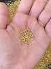 Size 12/0 Three-Cut Hand Cut Seed Bead 24k Gold Plated: 1 Gram