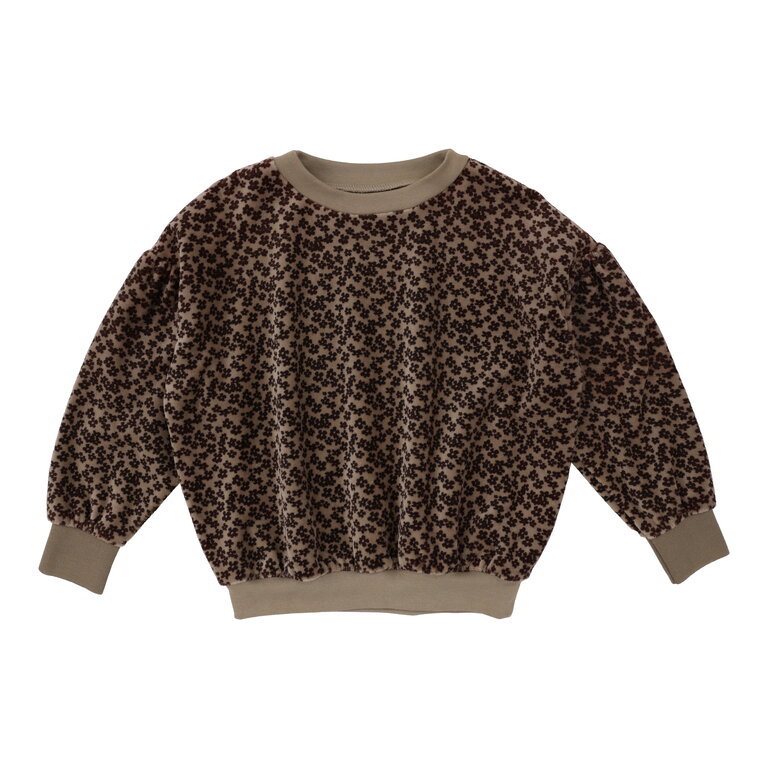 Analogie Analogie Velour Sweatshirt - FW24 -