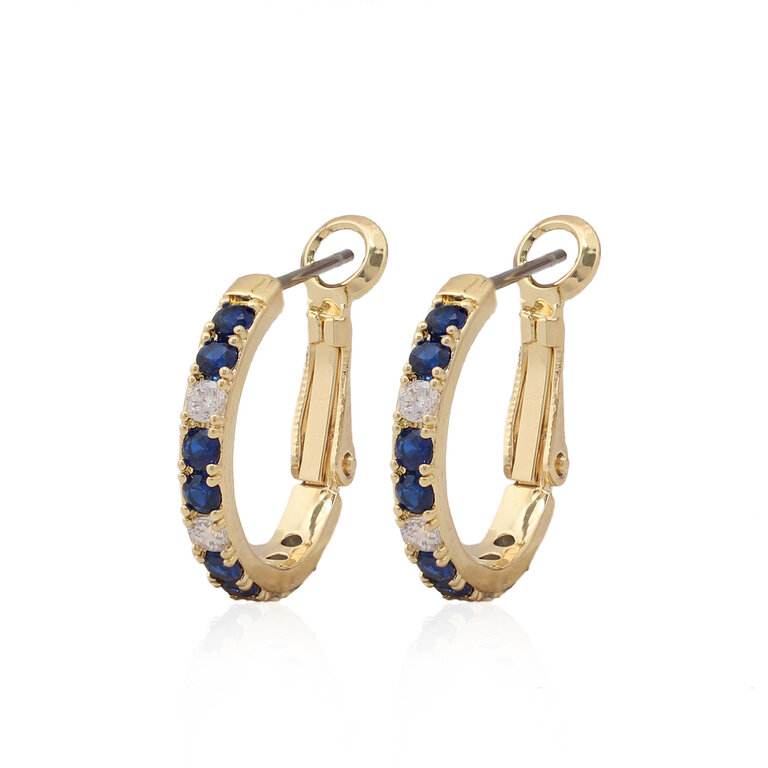 Cameo Collection Cameo Collection Earrings - E5095-B-L