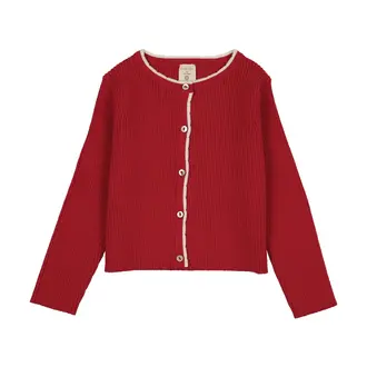 Analogie Analogie Scallop Rib Cardigan - SS26 -