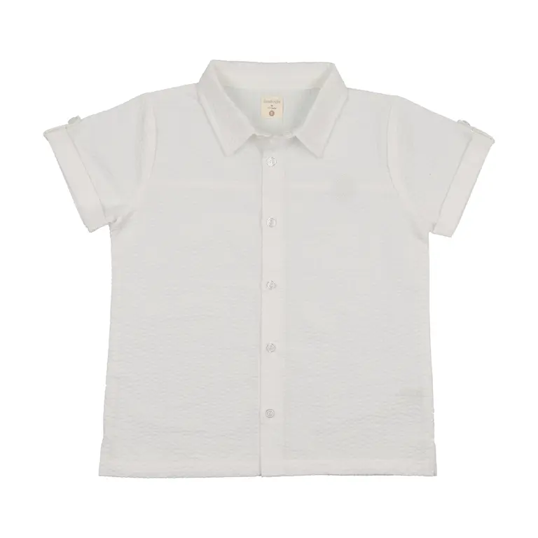 Analogie Analogie Dress Shirt - SS26 -