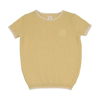 Analogie Analogie Knit Crew Neck Sweater - SS26 -