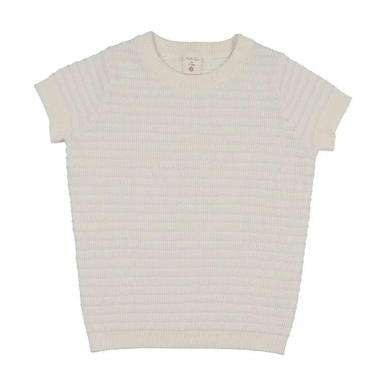 Analogie Analogie Textured Stripe Knit Crewneck - SS26 -