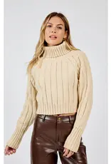Solana Turtle Neck Crop Sweater
