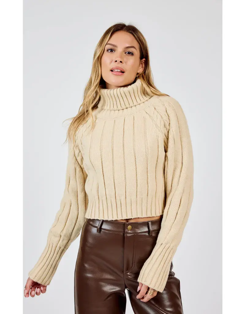 Solana Turtle Neck Crop Sweater