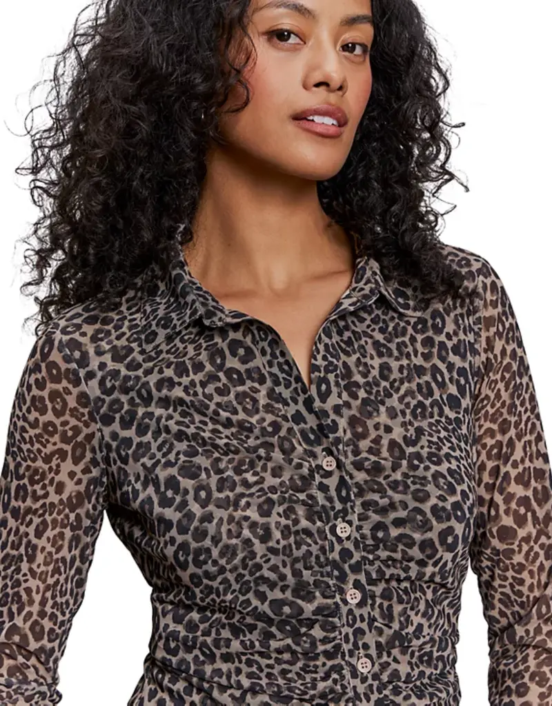 Sanctuary Fitted Mesh Button Down Top