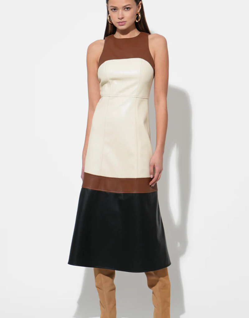 Caspia Colorblock Midi Dress