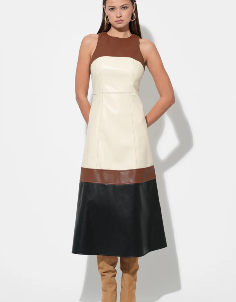 Caspia Colorblock Midi Dress