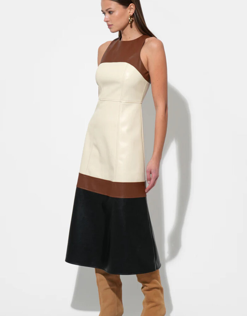 Caspia Colorblock Midi Dress