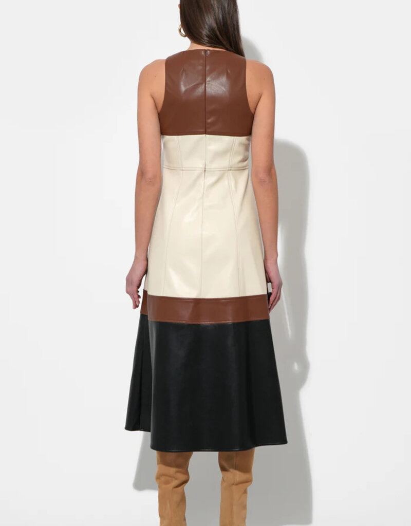 Caspia Colorblock Midi Dress