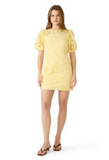 Elly Dress