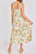 Nostalgic Paradise Dress