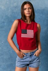 Flag Sweater Crop Top