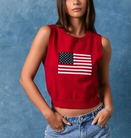 Flag Sweater Crop Top