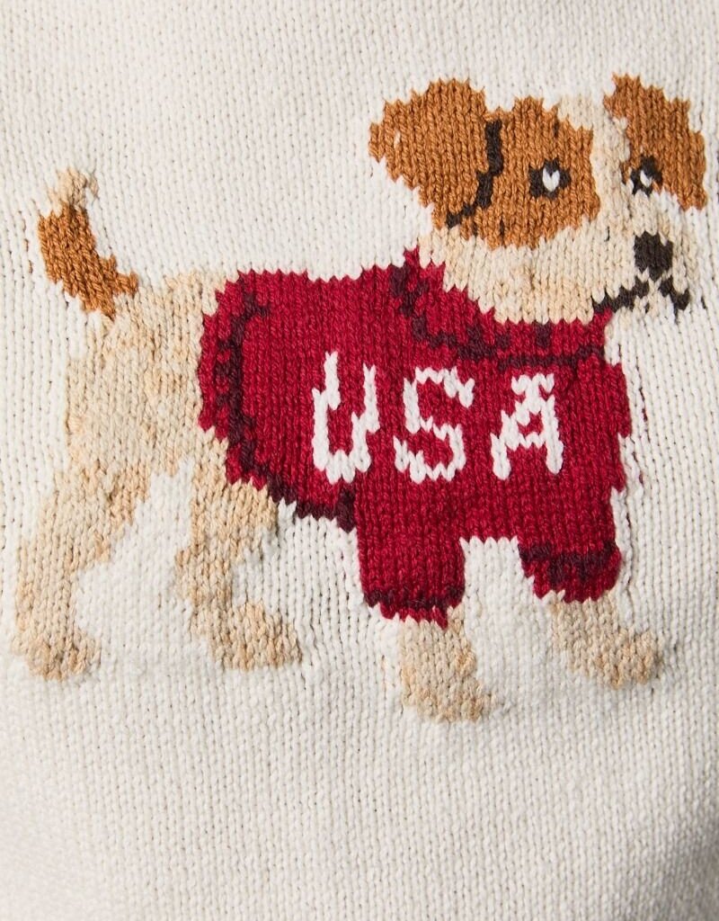USA Puppy SS Sweater
