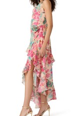 Sadie Dress