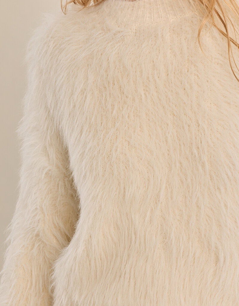 Fuzzy Knit Sweater