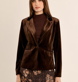 Velvet Blazer