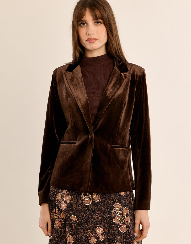 Velvet Blazer