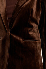 Velvet Blazer