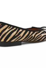 Kit Zebra