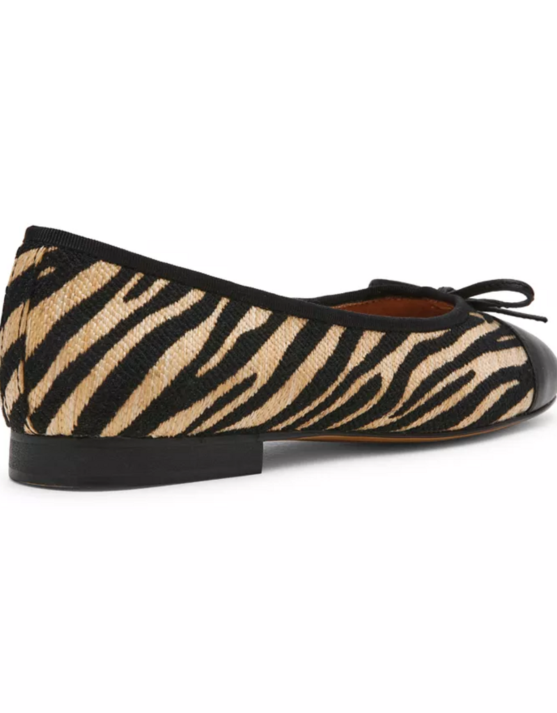 Kit Zebra