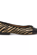 Kit Zebra