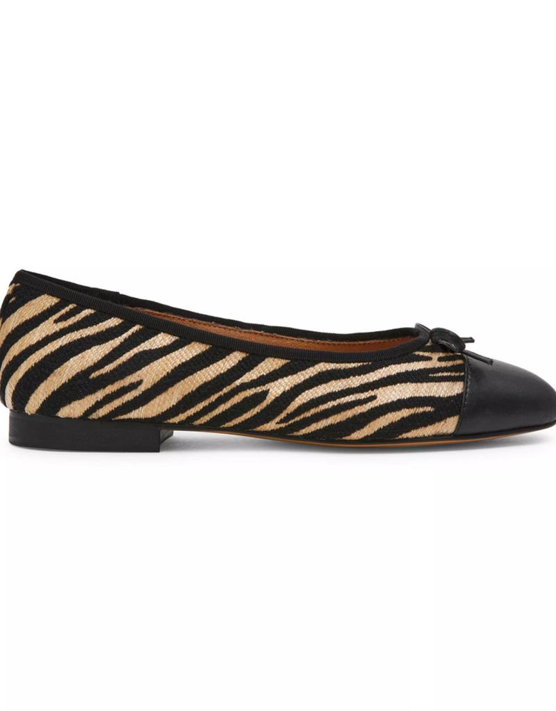 Kit Zebra