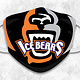 Knoxville Ice Bears Face Masks (Over the Ear)