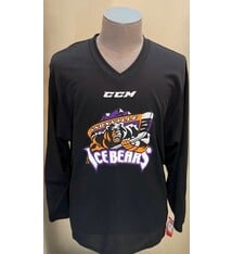 OT Sports, Shirts, Knoxville Tn Ice Bears Hockey Jersey Huge Front Patch  Euc Size L Oversized Usa