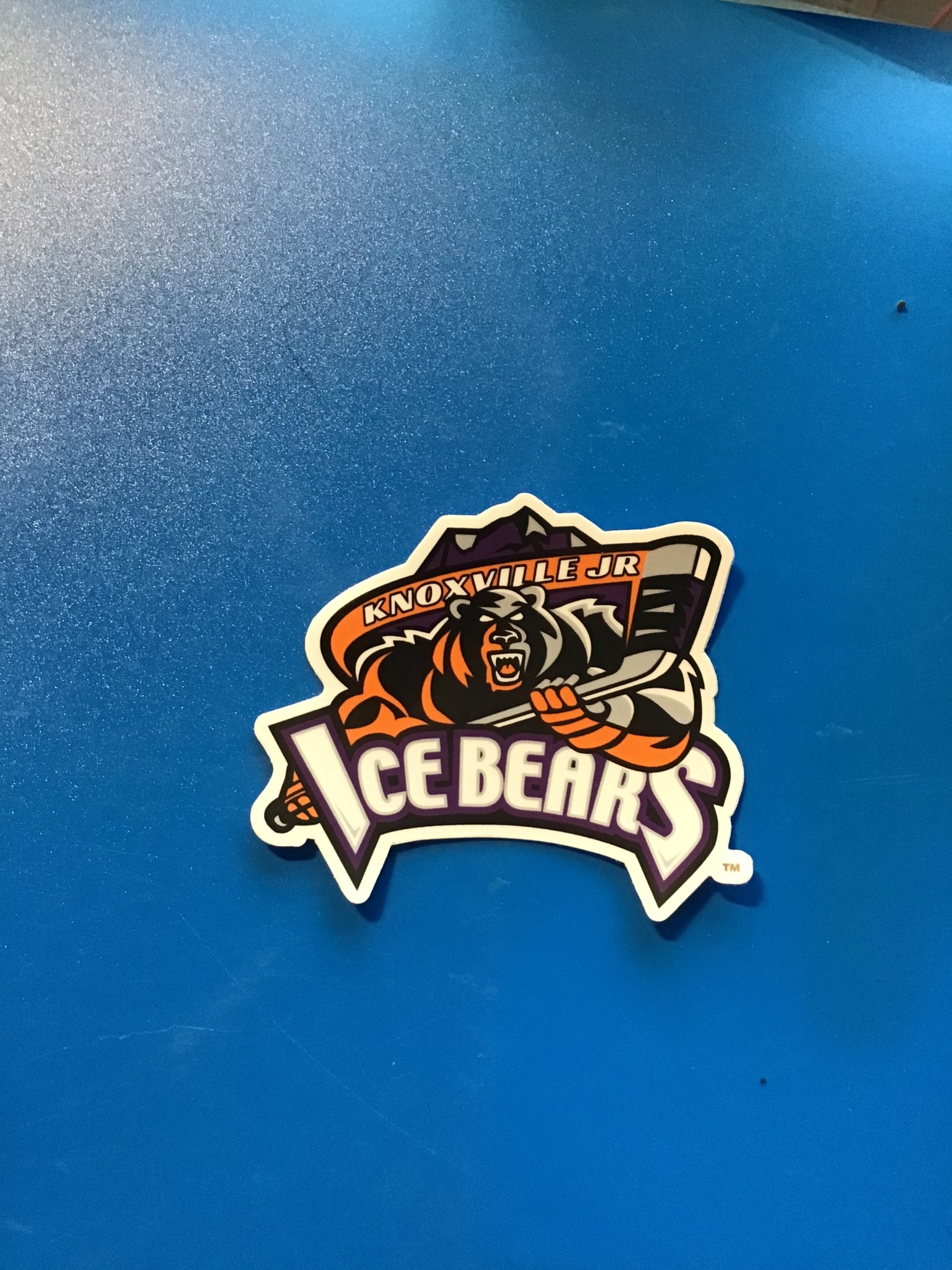 JR ICE BEARS STICKER 3"