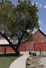 Rustic Red Paint by Number