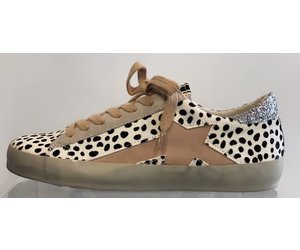 cheetah star sneakers