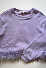 Lavender sweatshirt with feathers