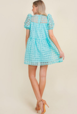 Baby blue check dress