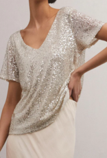 Silver Short Sleeve Sequin Top