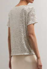 Silver Short Sleeve Sequin Top