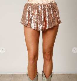 Champagne Sequin Skirt
