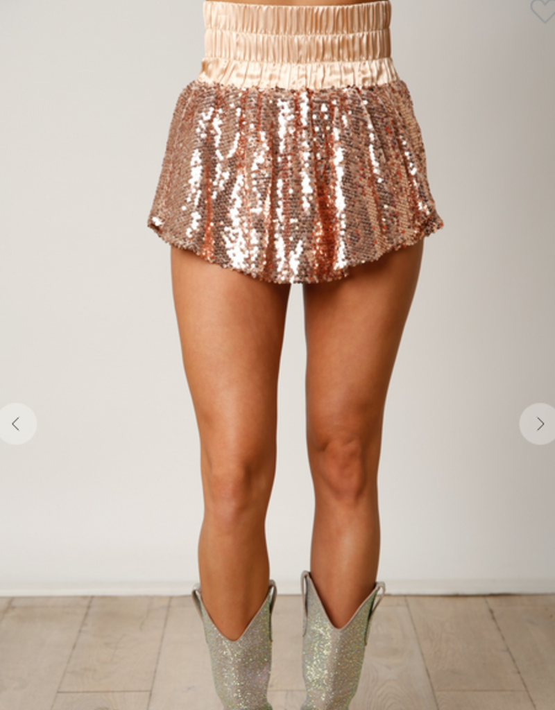 Champagne Sequin Skirt