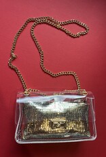 Clear Clutch with Gold Pouch