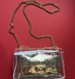 Clear Clutch with Gold Pouch