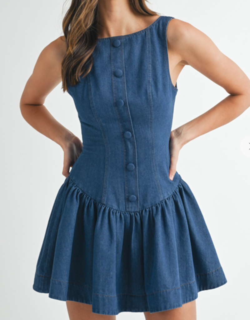 Denim Front Button Mini Dress