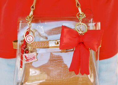 Clear Stadium Bags