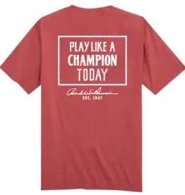 Play Like A Champ