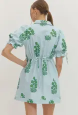 Blue Striped Dress with Green Floral