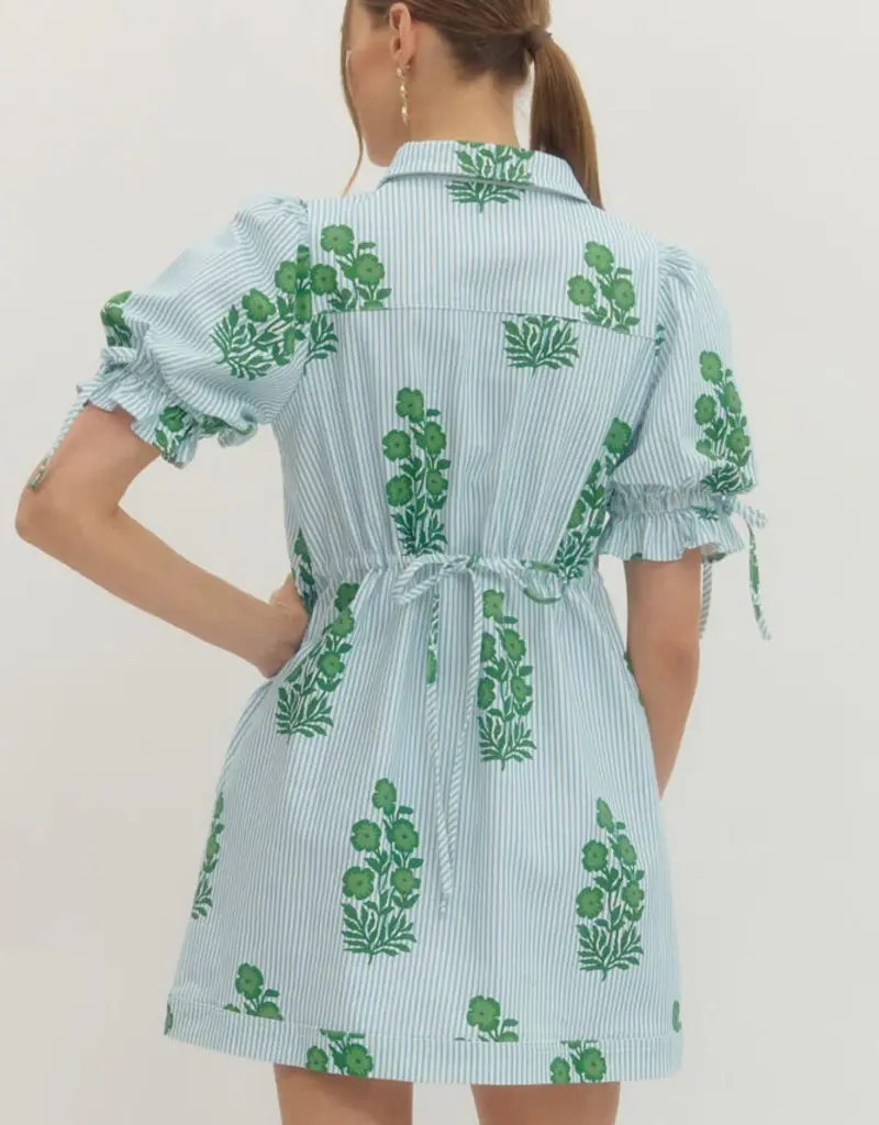 Blue Striped Dress with Green Floral