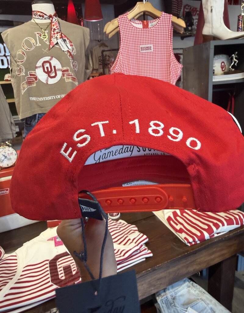 Red Sooners Bill Hat