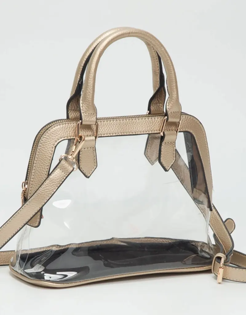 Gold Crossbody Clear Purse