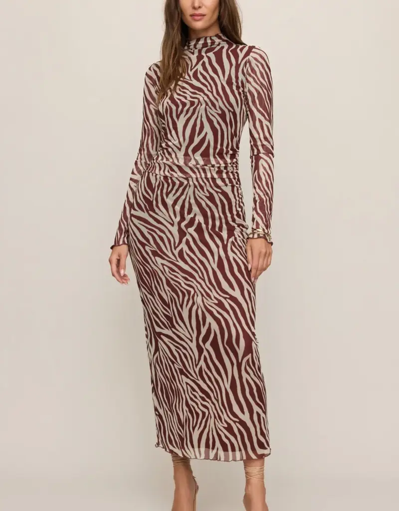 Zebra Midi Dress