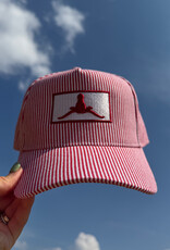 Striped Upside Down Longhorn Hat